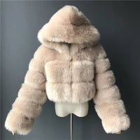camel-2
